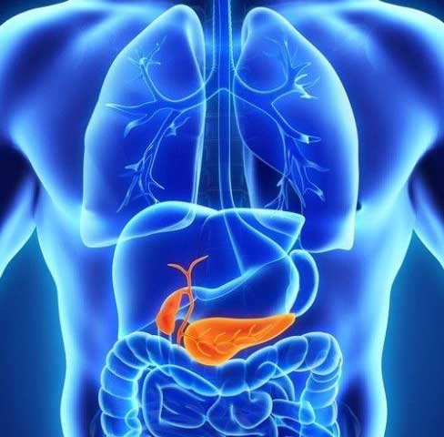 Best medical Surgery can help you get pancreas transplant procedure done for you in a cost effective and best quality